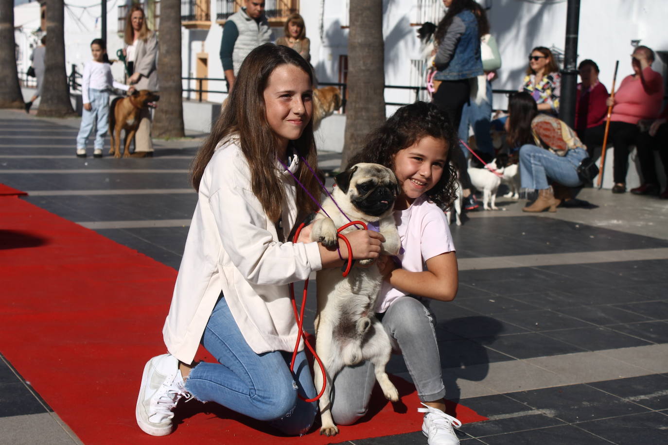 Fotos: III Desfile Canino
