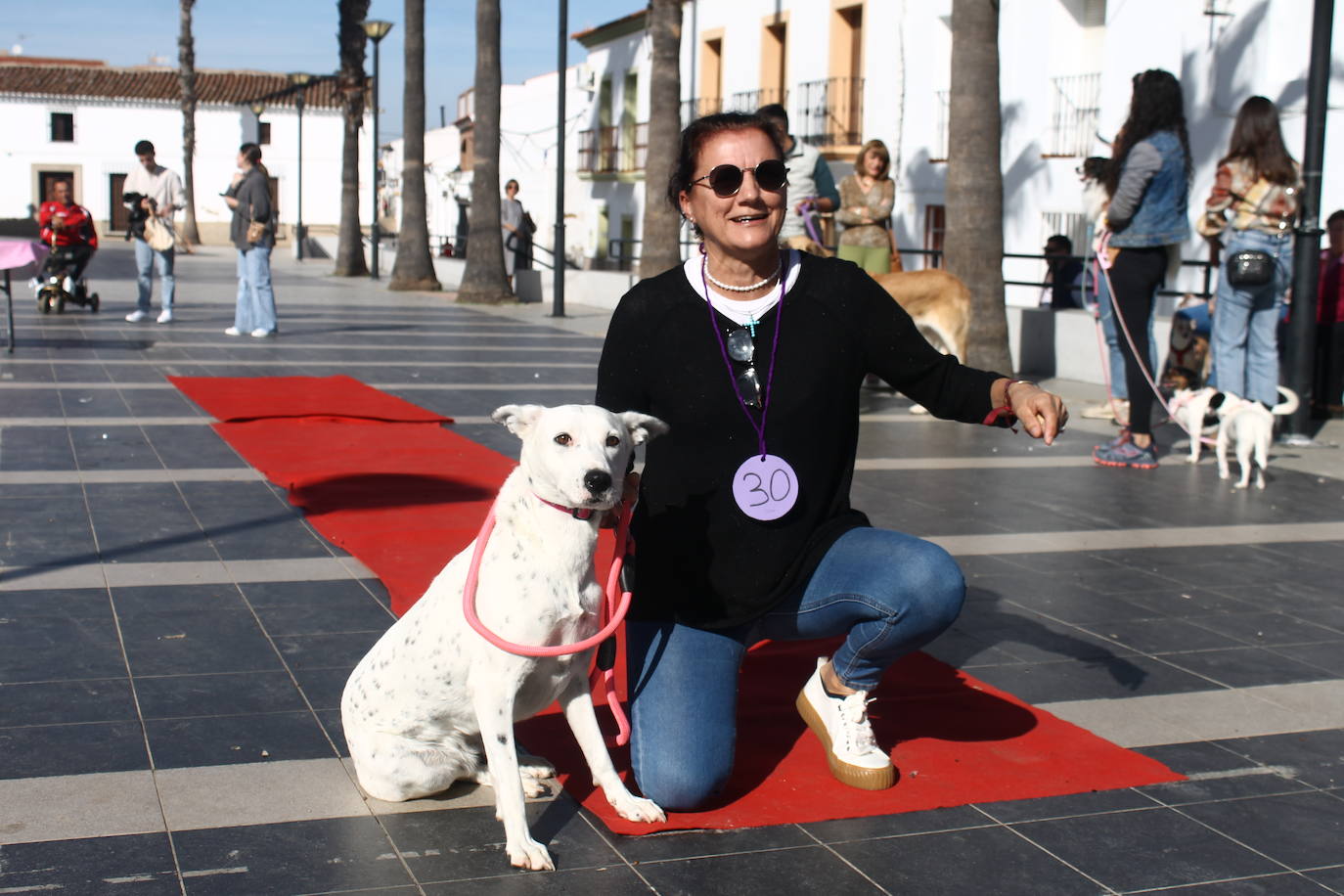 Fotos: III Desfile Canino