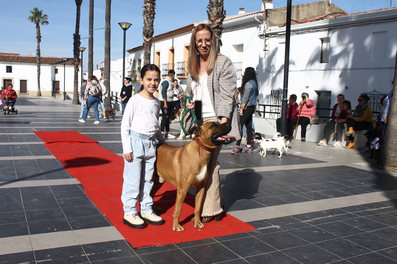 Fotos: III Desfile Canino