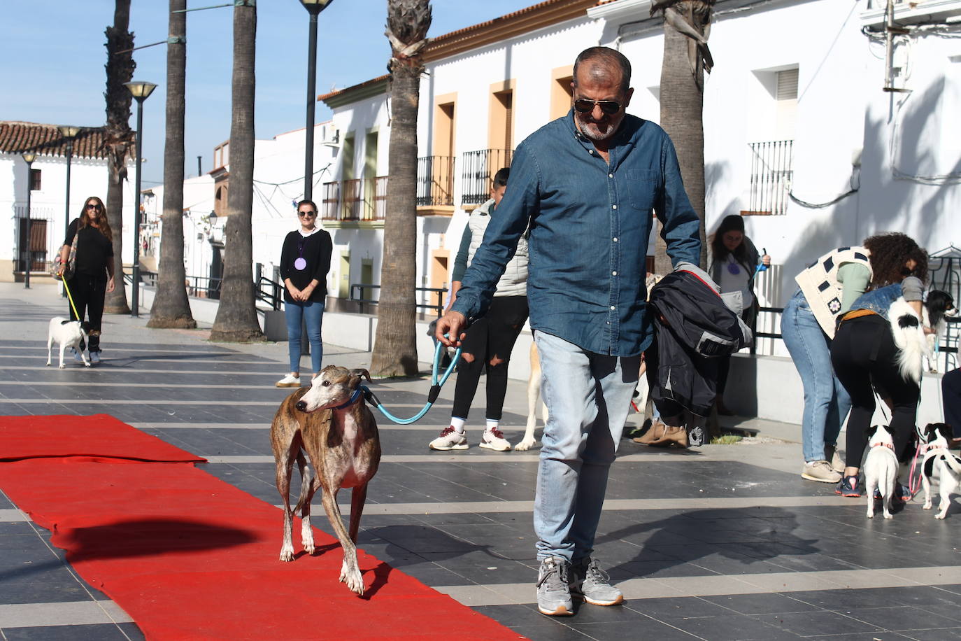 Fotos: III Desfile Canino