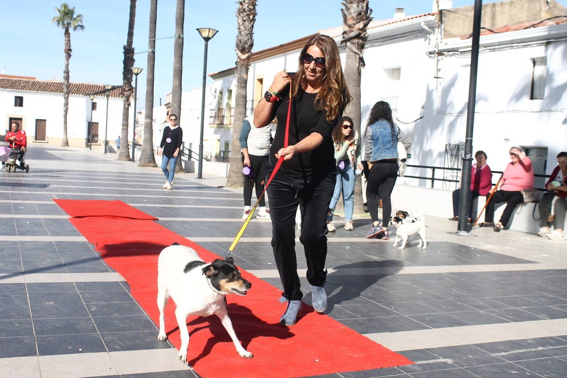 Fotos: III Desfile Canino