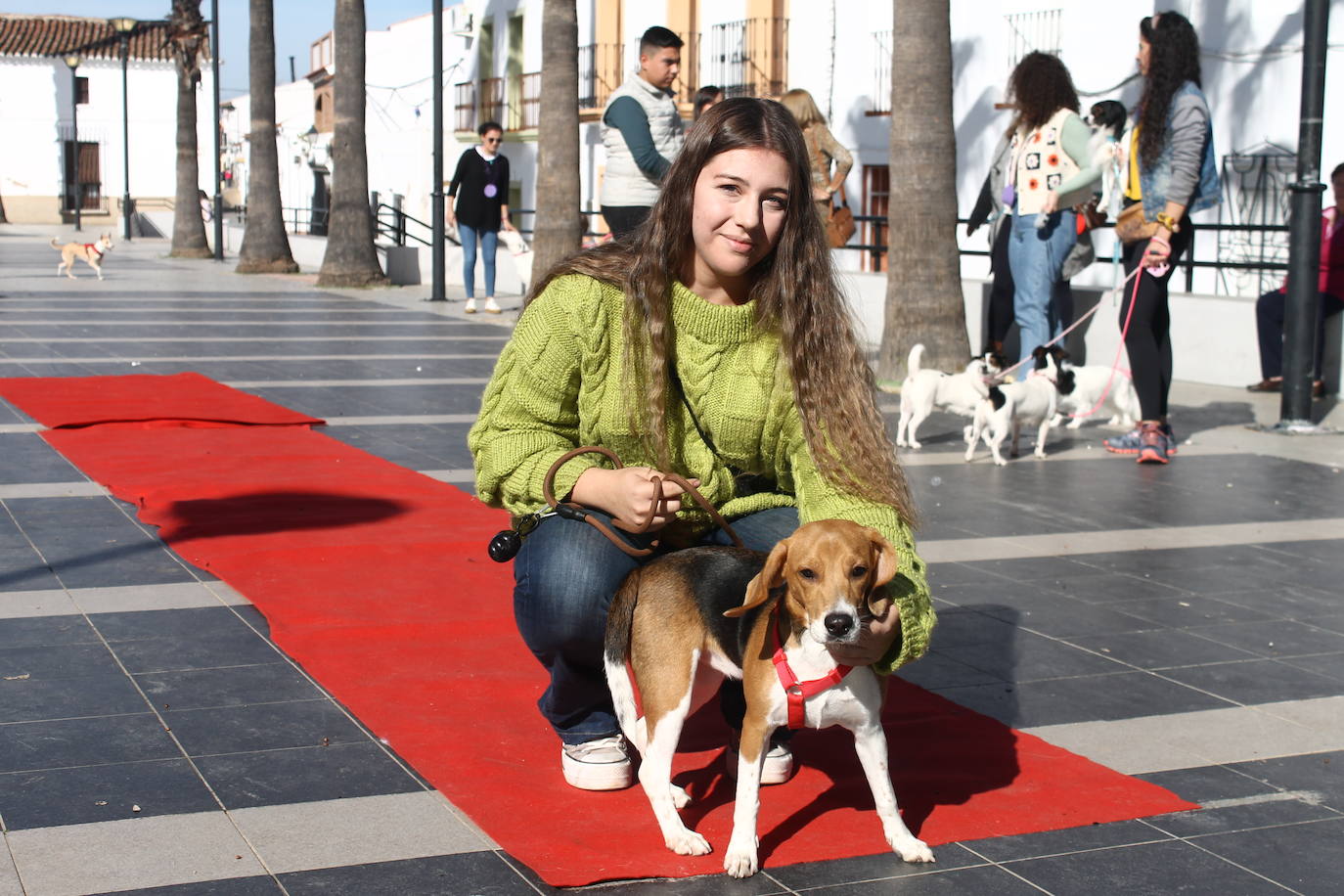 Fotos: III Desfile Canino