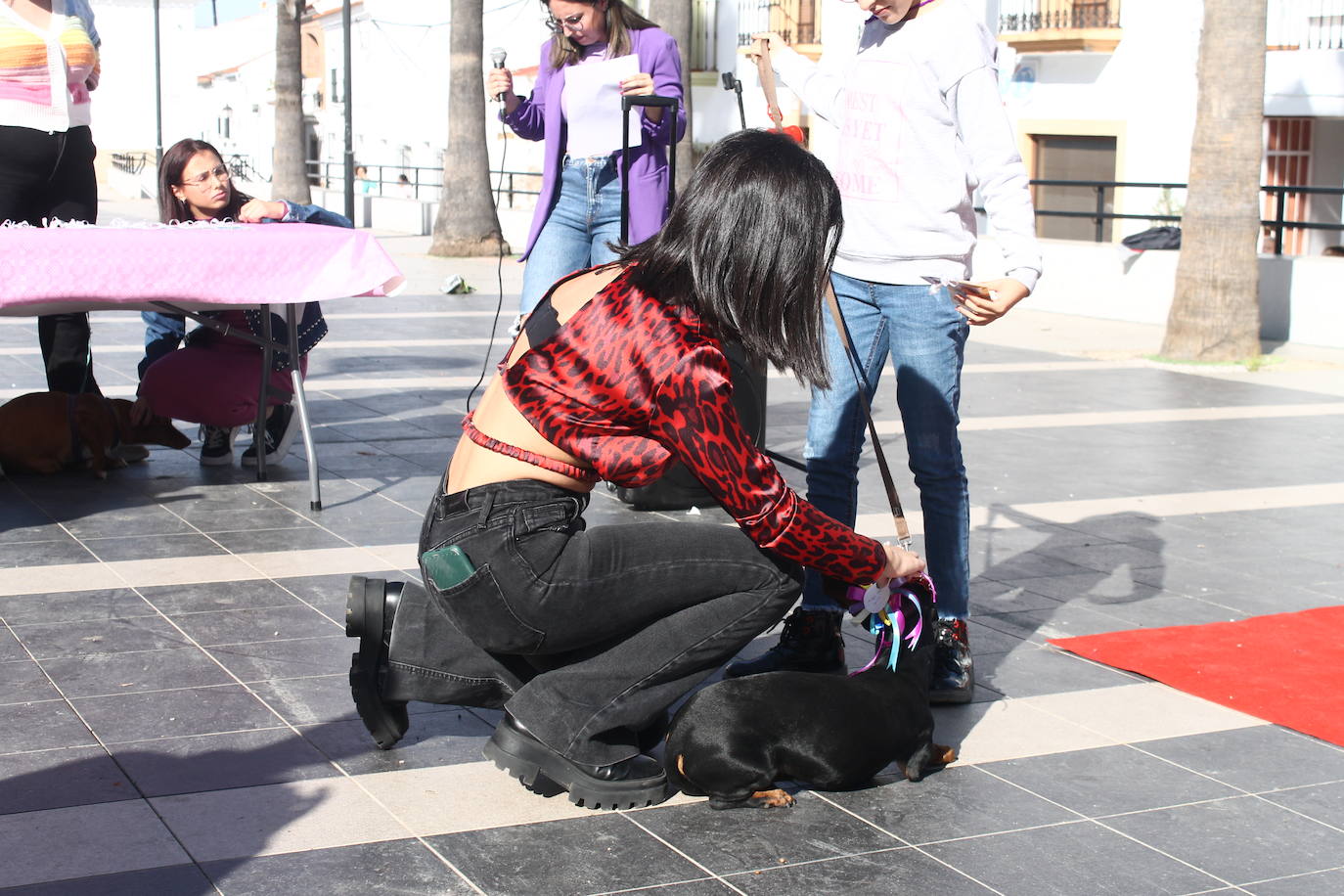 Fotos: III Desfile Canino