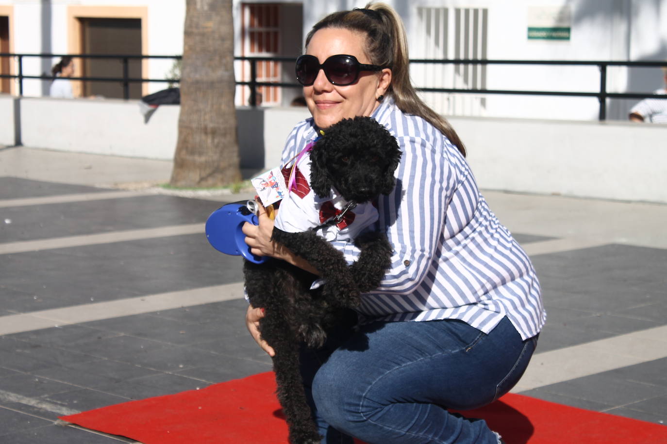 Fotos: III Desfile Canino