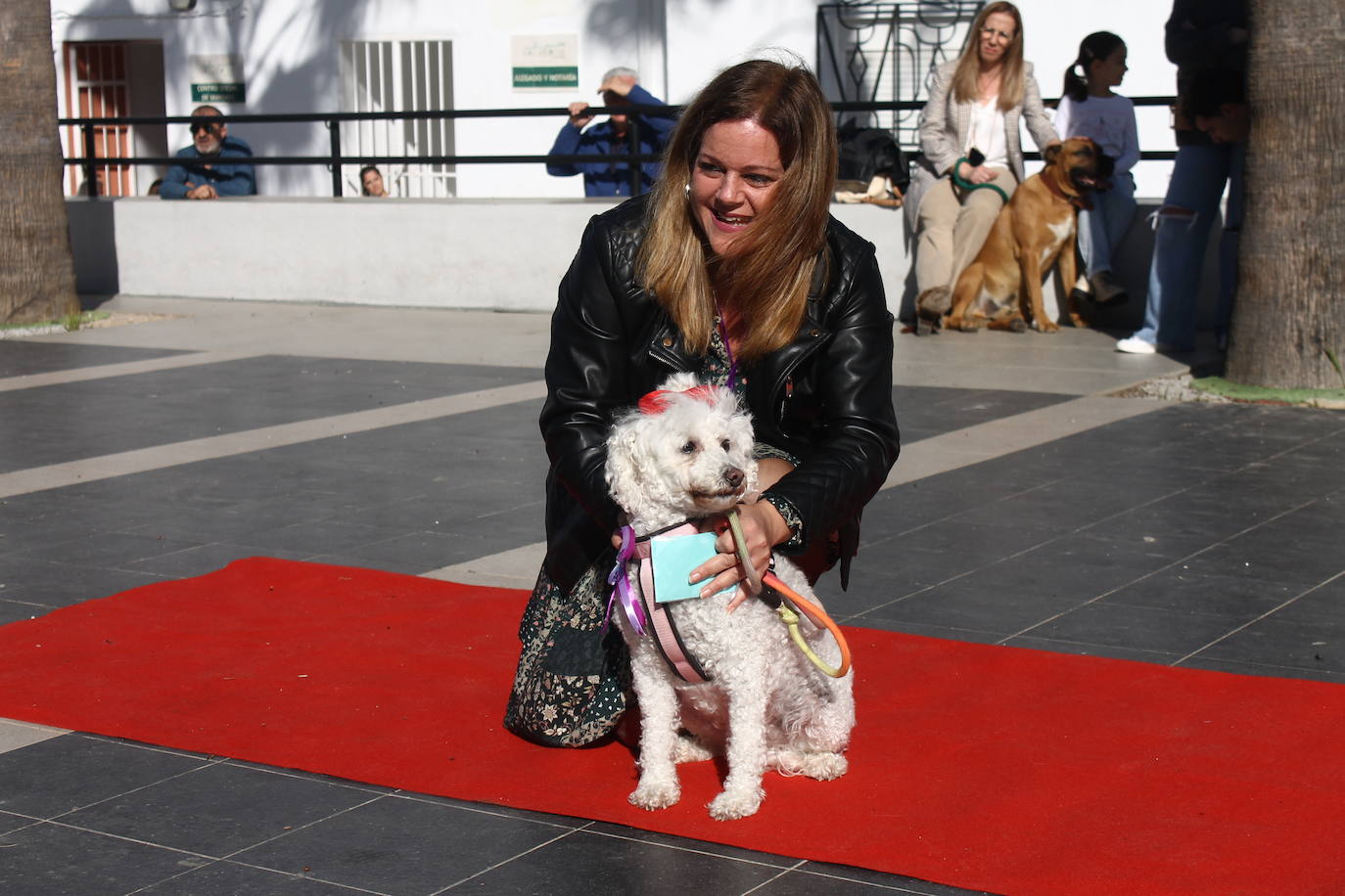 Fotos: III Desfile Canino