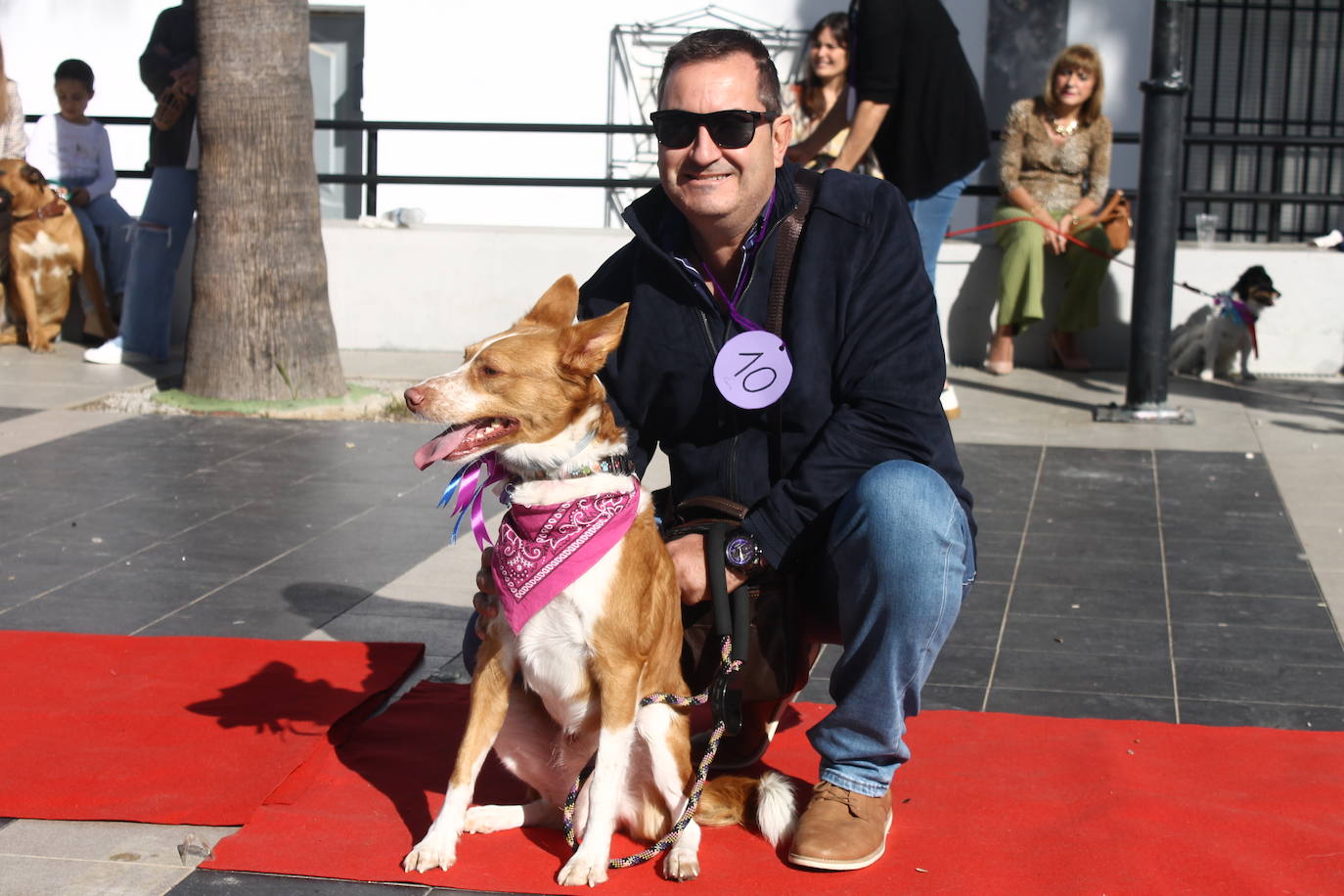 Fotos: III Desfile Canino