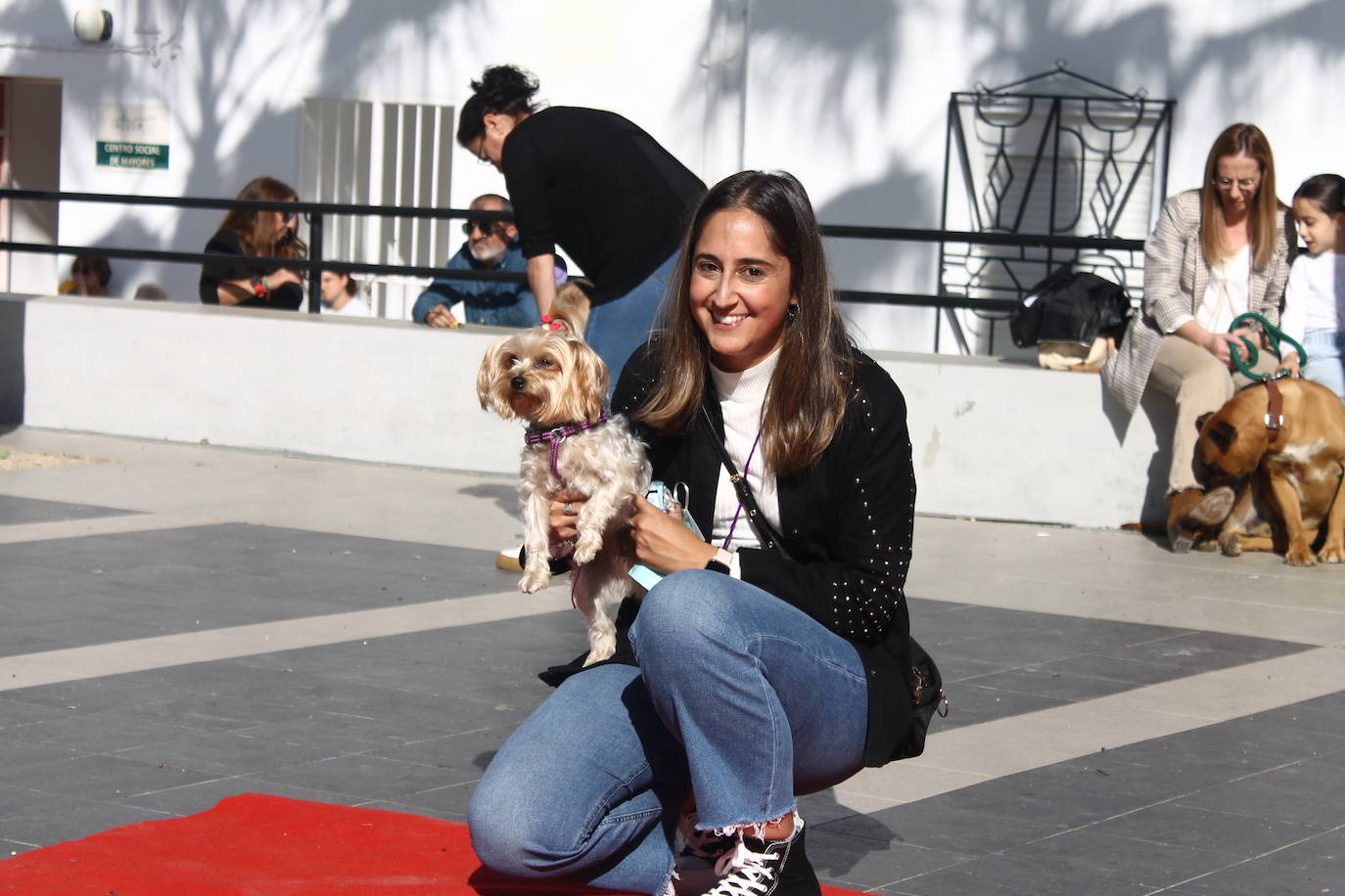 Fotos: III Desfile Canino