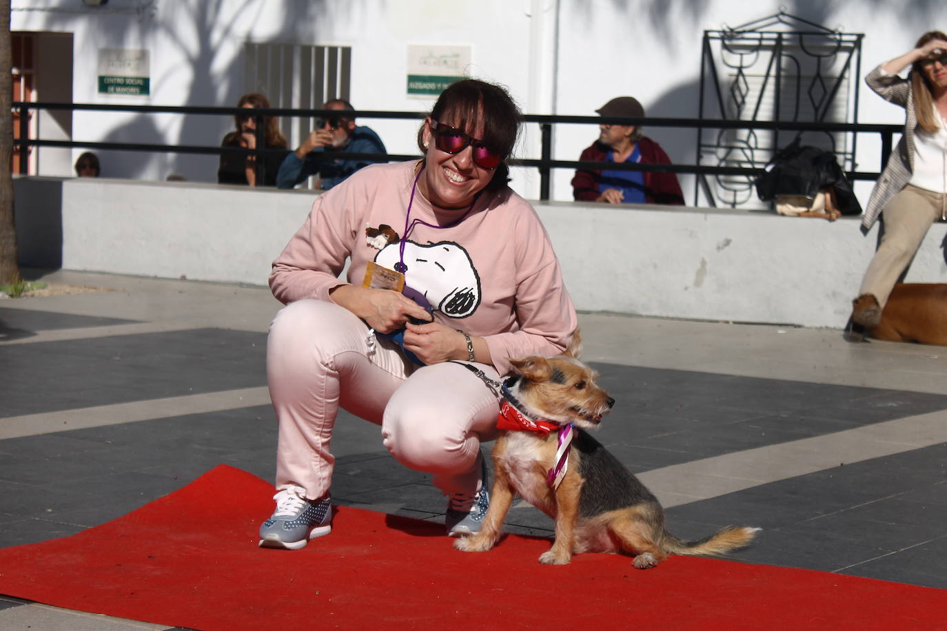 Fotos: III Desfile Canino