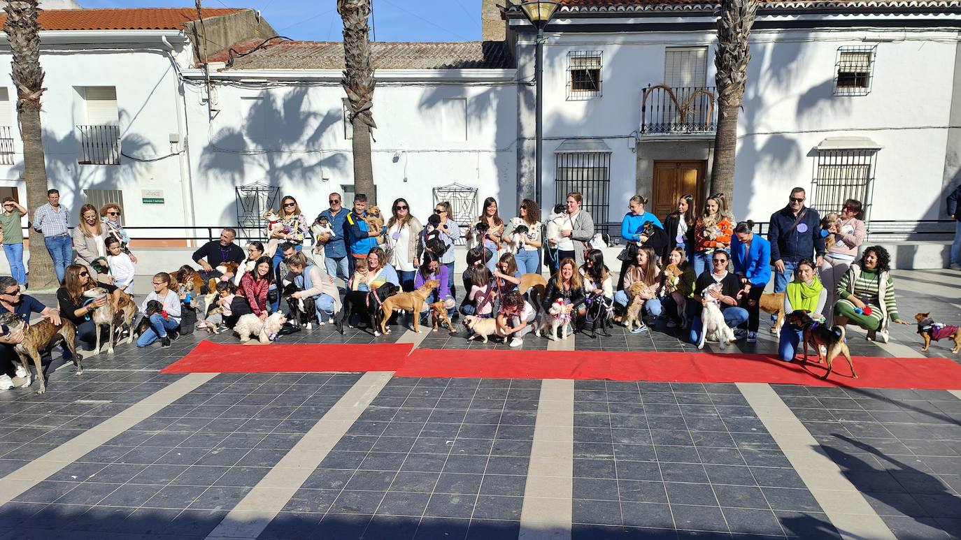 Fotos: III Desfile Canino