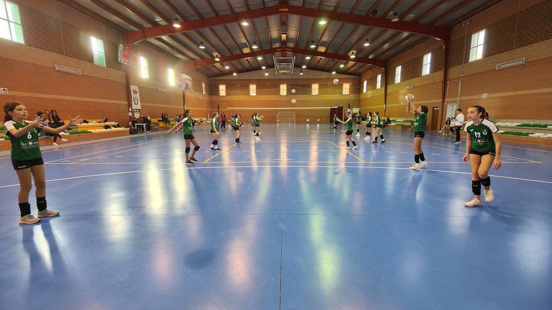 Fotos: Voleibol Infantil - FD Mérida