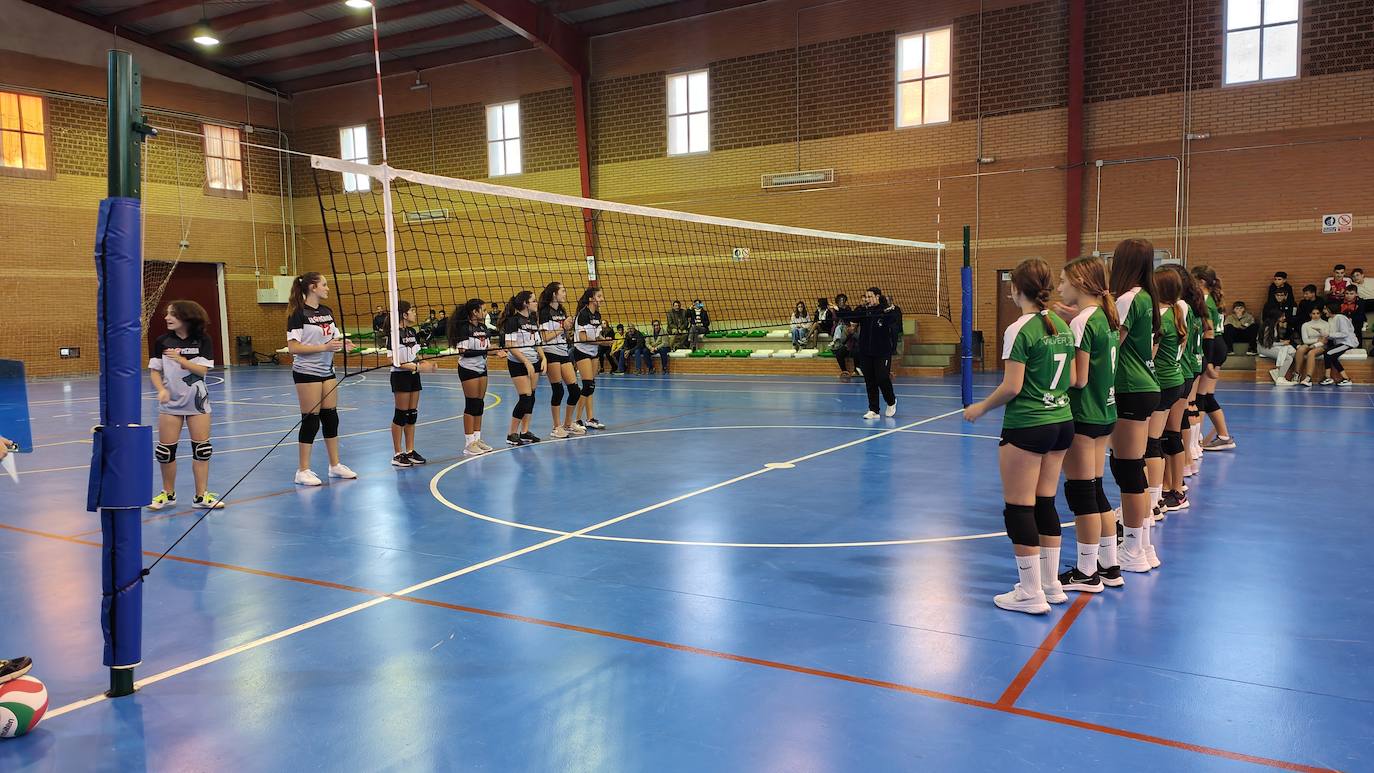 Fotos: Voleibol Infantil - FD Mérida