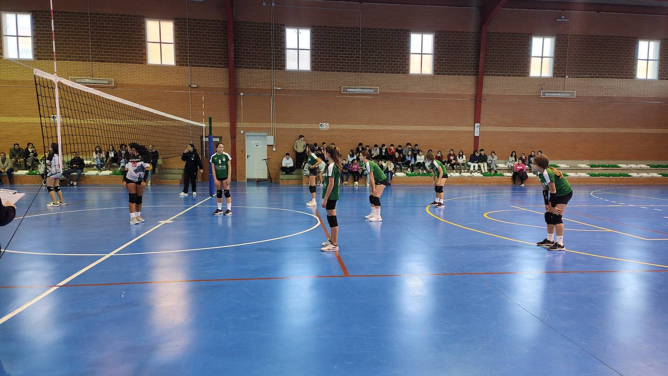 Fotos: Voleibol Infantil - FD Mérida