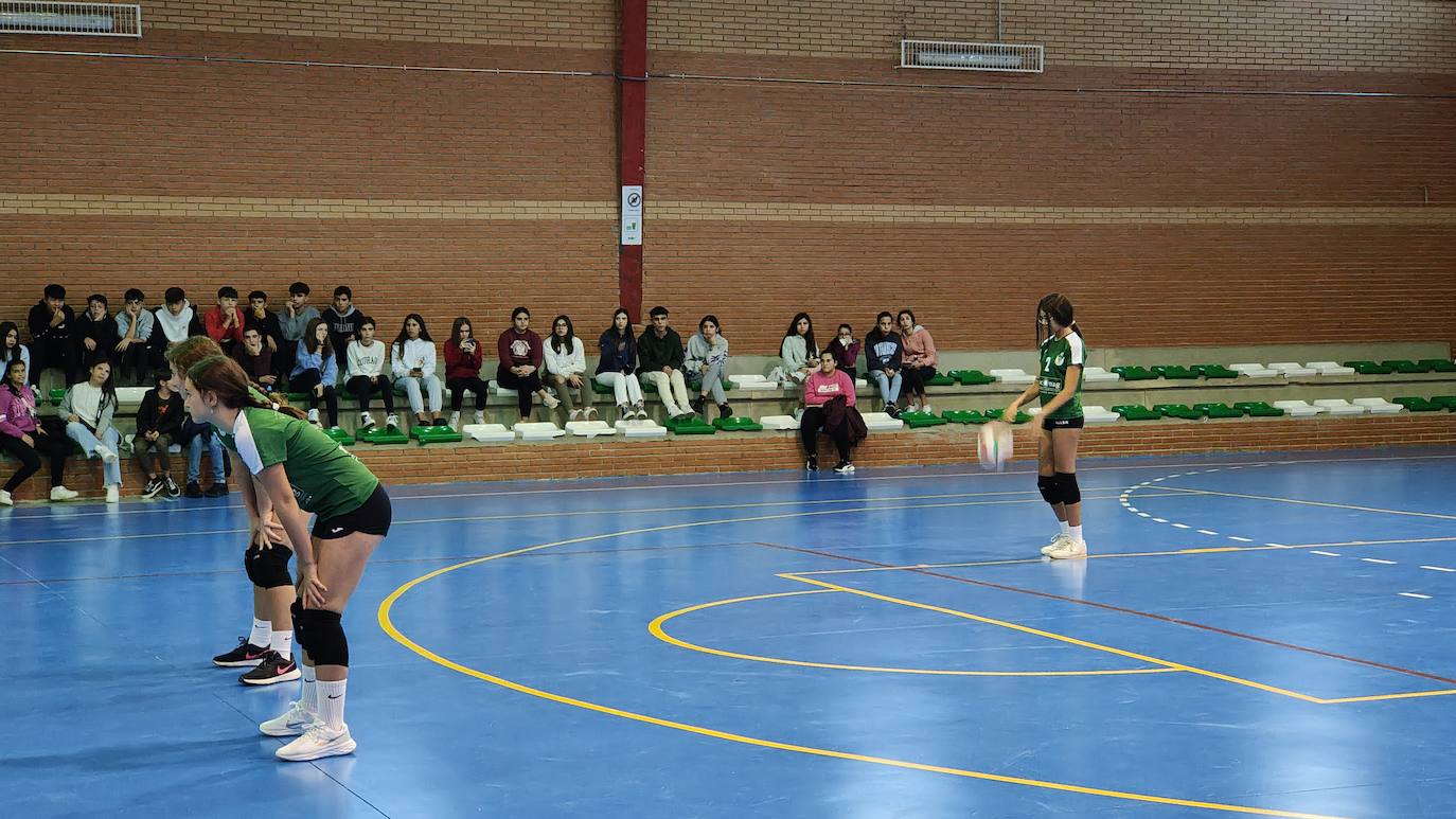 Fotos: Voleibol Infantil - FD Mérida