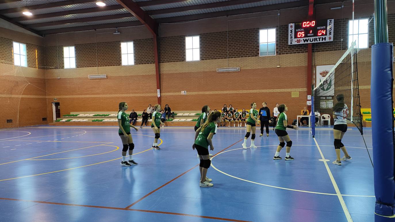 Fotos: Voleibol Infantil - FD Mérida