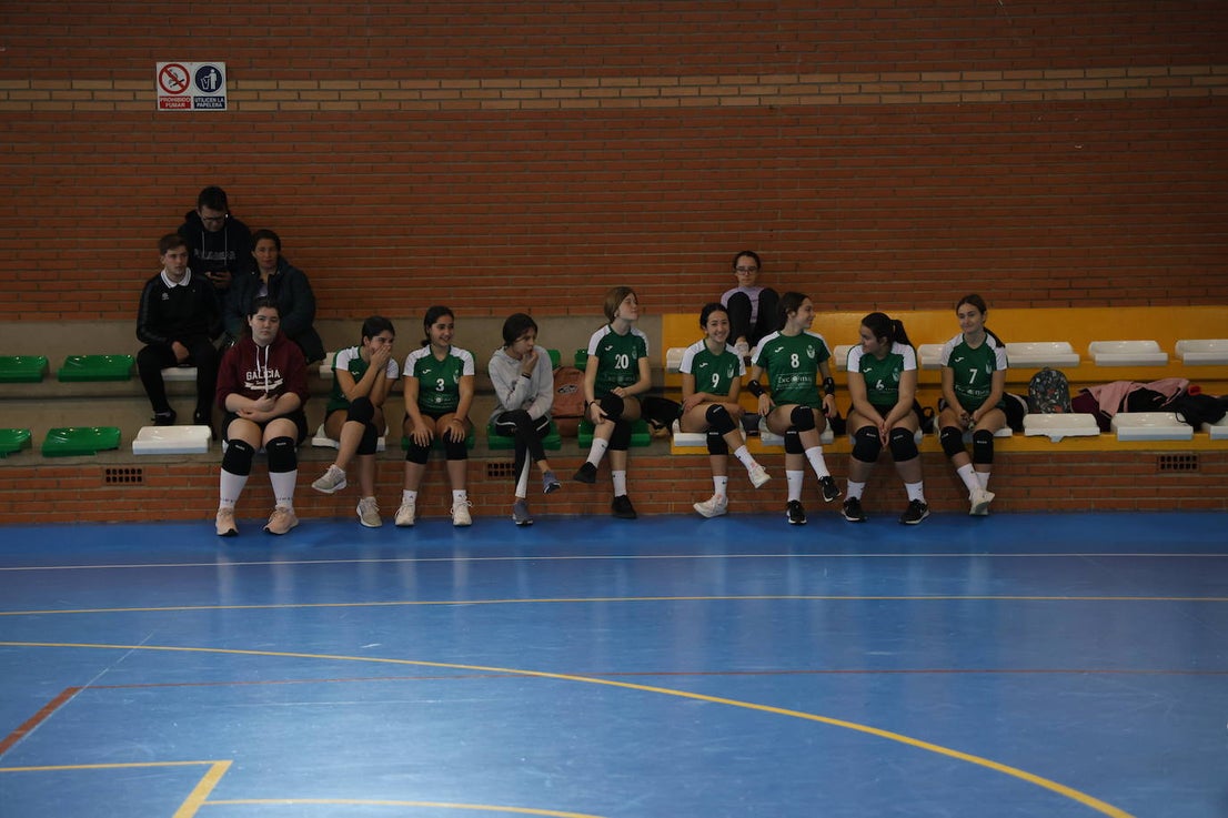 Mujer y Deporte (I)
