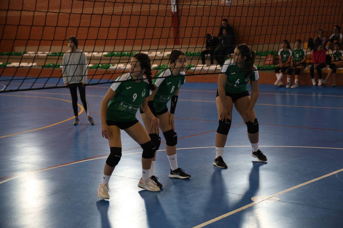 Mujer y Deporte (I)
