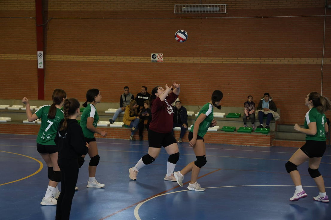 Mujer y Deporte (I)