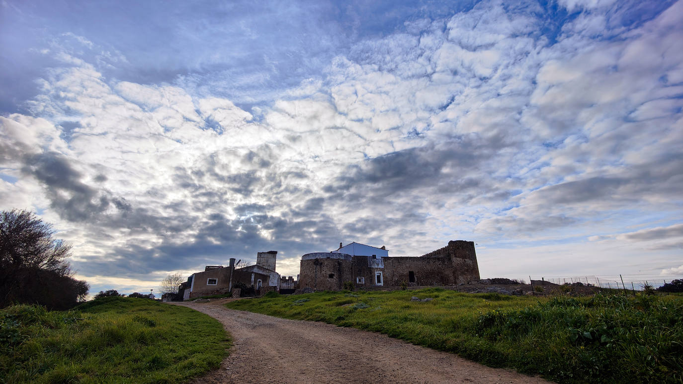 Encima Madre o Encina del Romo