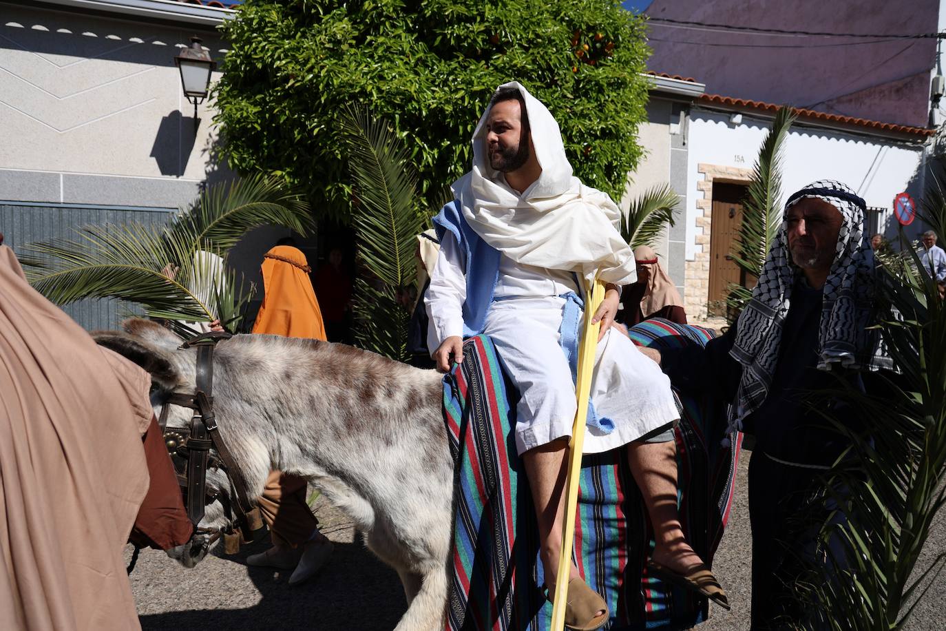 Domingo de Ramos
