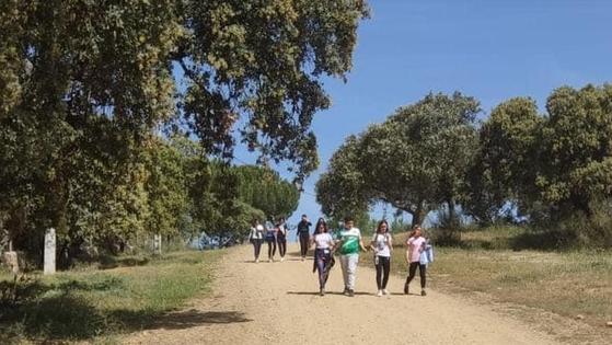 Los pequeños se divierten en vacaciones buscando orquídeas