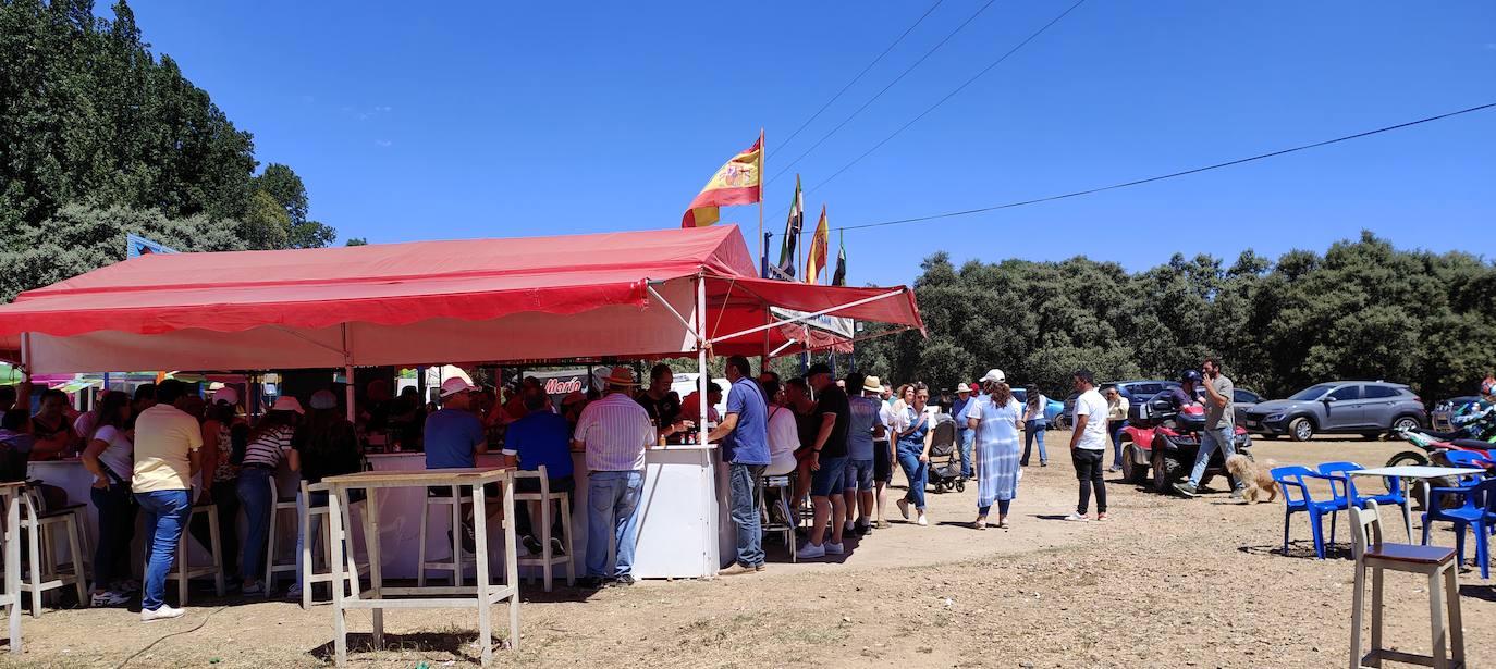 Romería de San Isidro