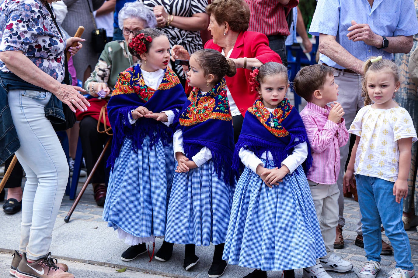 XII Vive la Trashumancia y IV Feria del Queso Artesano (VI)