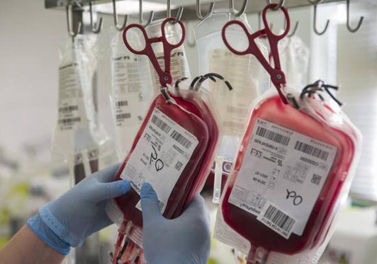 Esta tarde y mañana son las donaciones de sangre