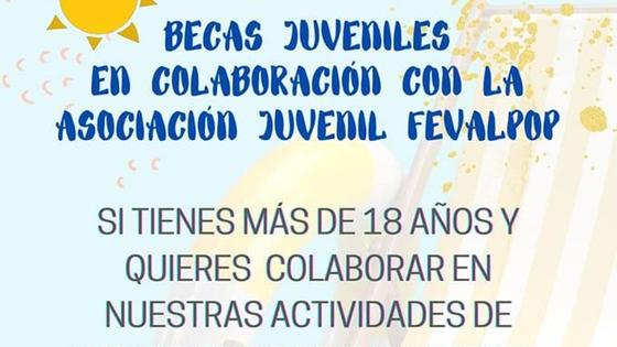 La Asociación Juvenil Fevalpop busca becarios para las actividades del verano