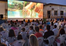 Proyección de la 'Ainbo'