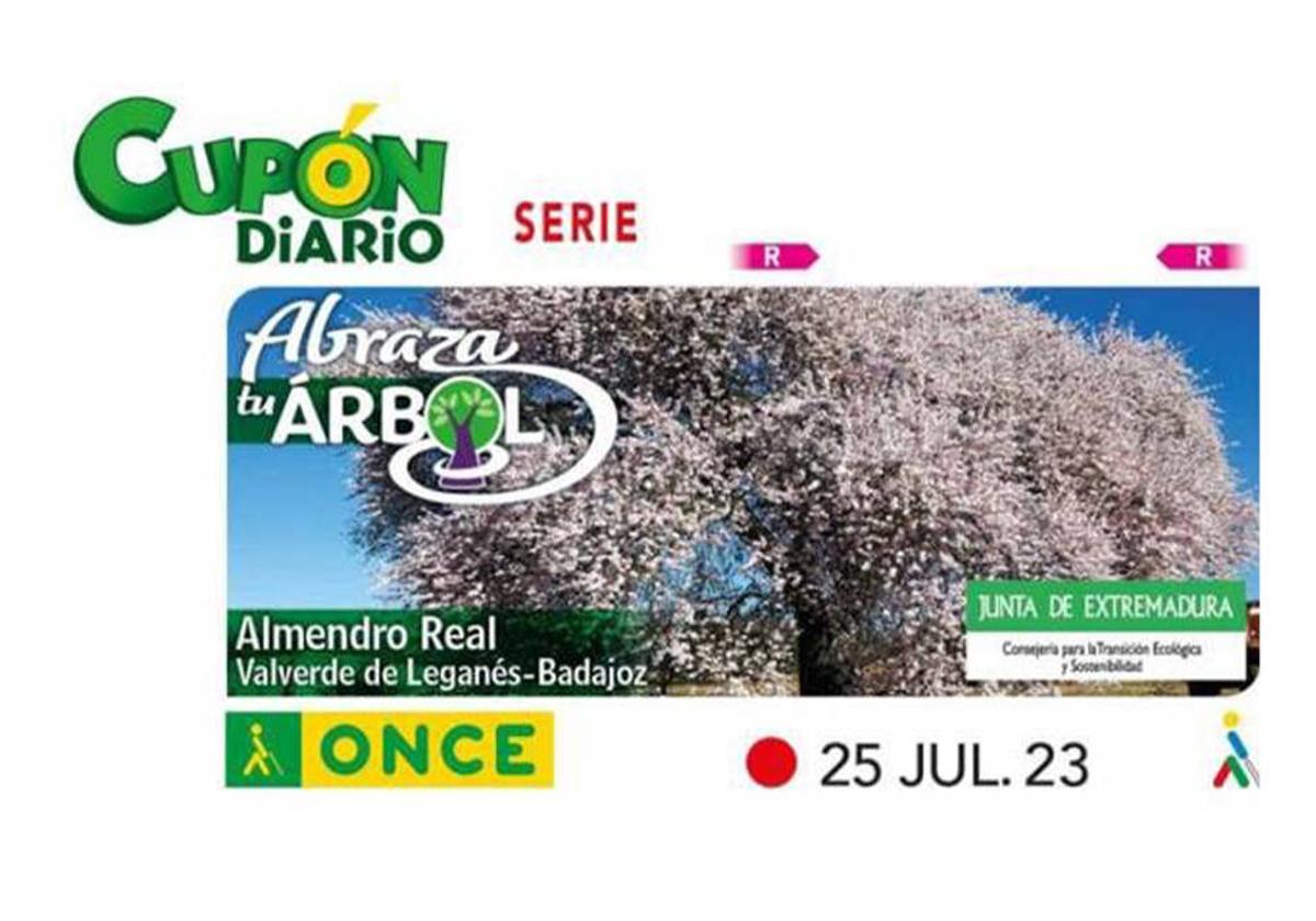 El Almendro Real será protagonista del Cupón Diario del 25 de julio