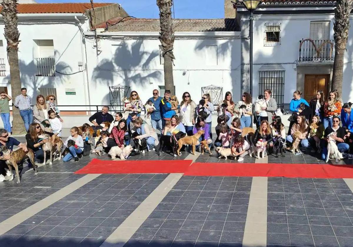 Inscripciones abiertas al IV Desfile Canino organizado por Amaval