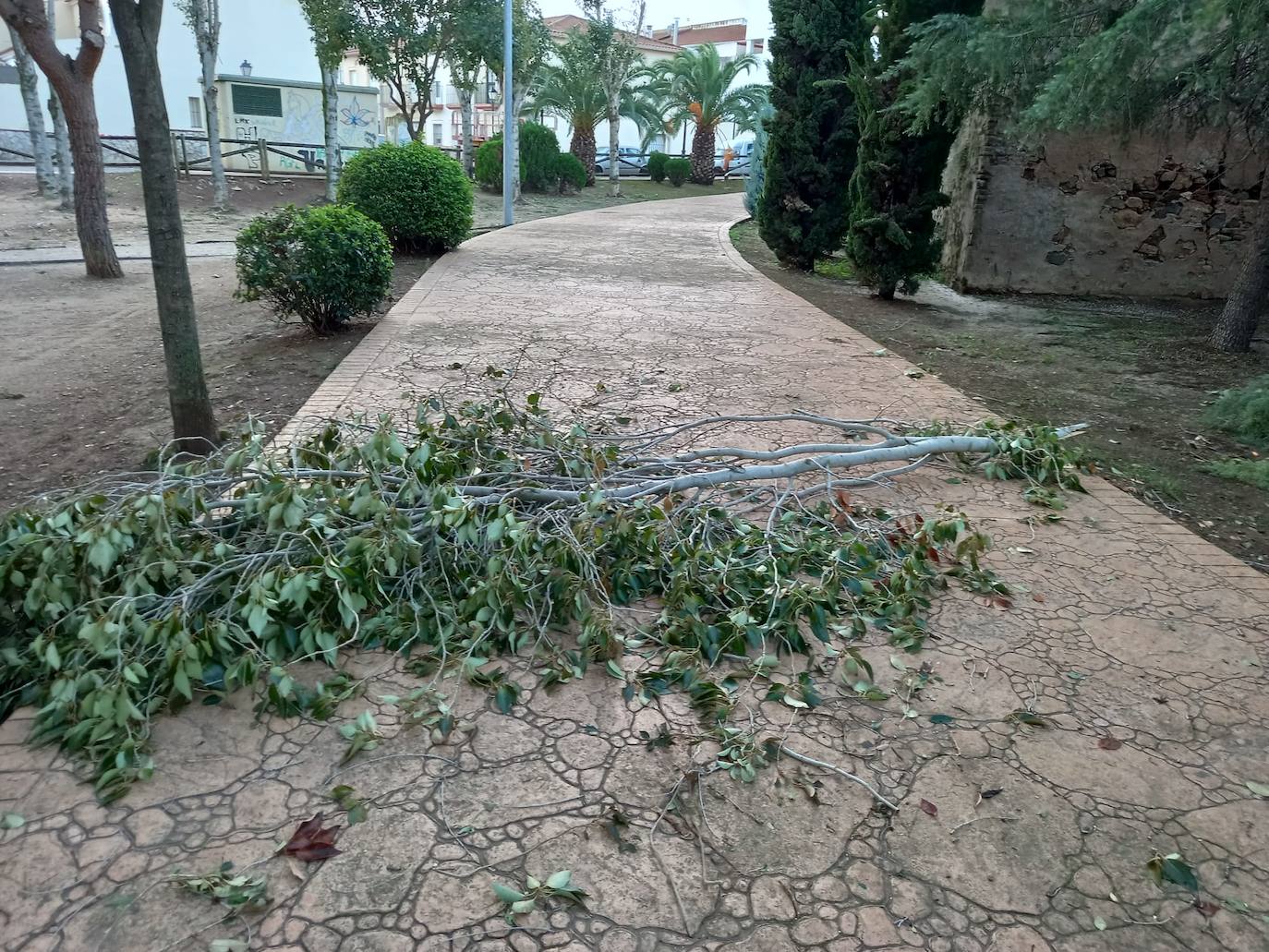 Borrasca Aline en Valverde de Leganés