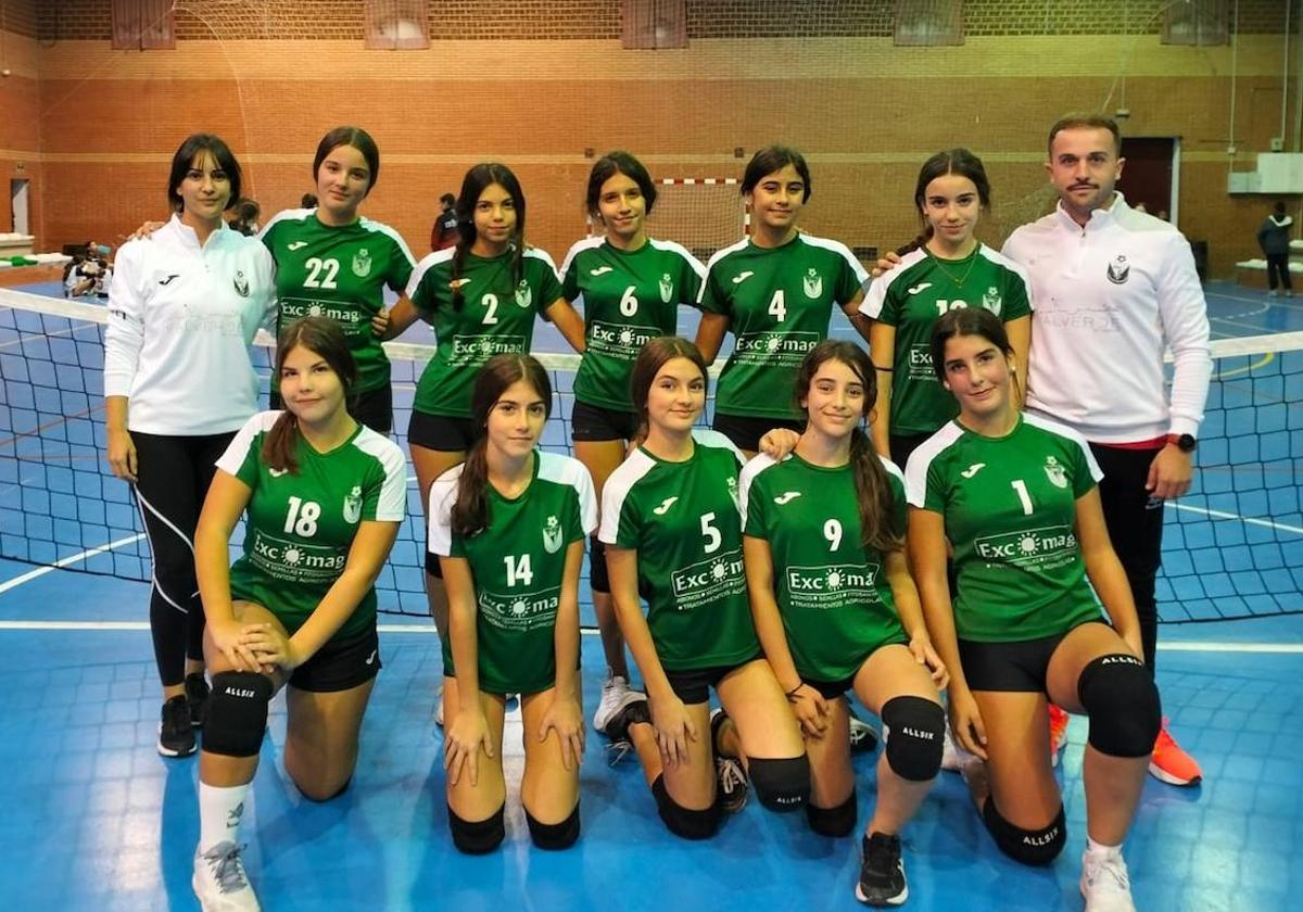 Equipo de voleibol