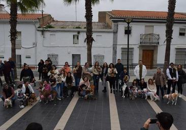 El IV Desfile Canino de AMAVAl cuenta con 24 participantes