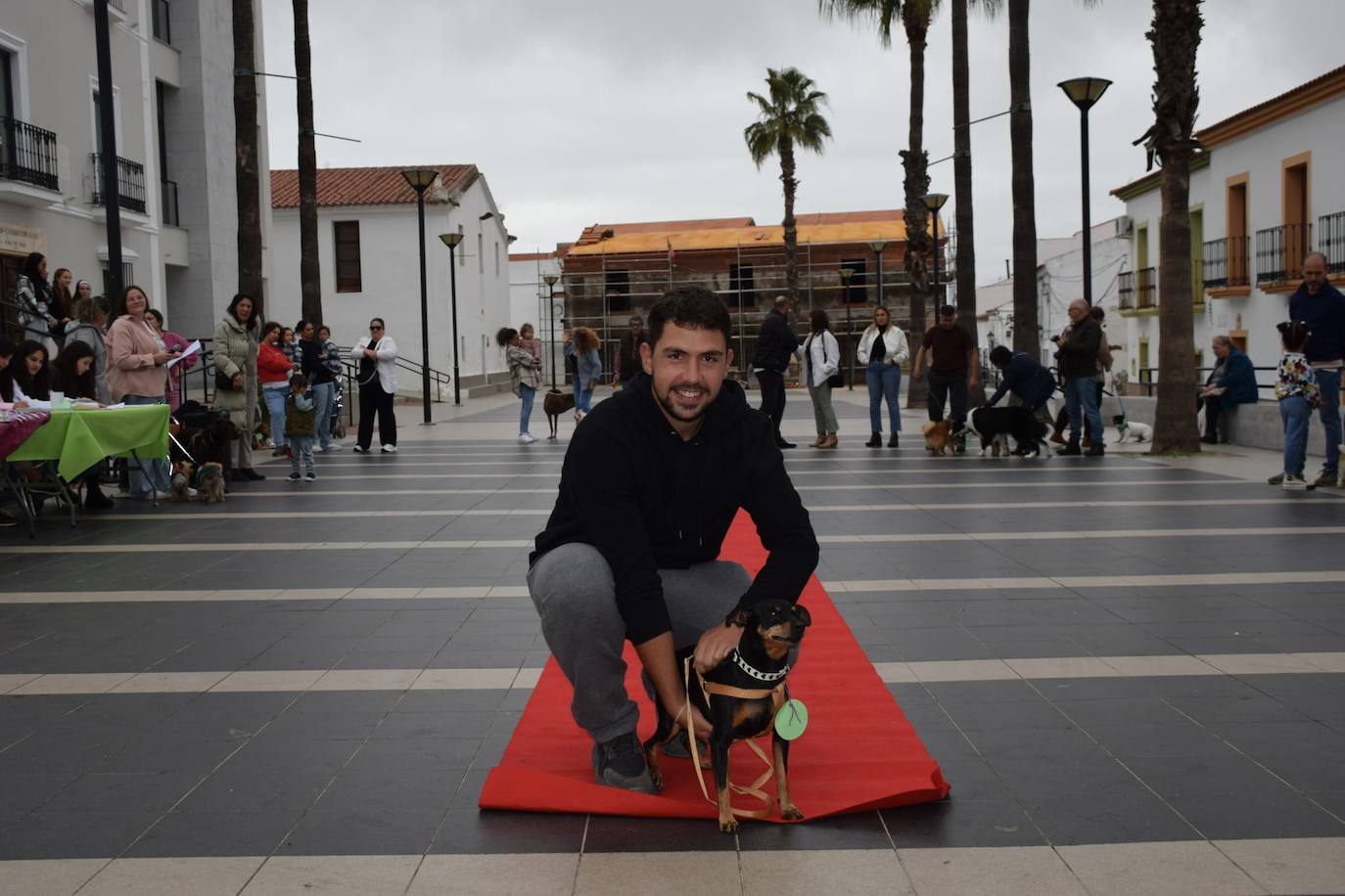 IV Desfile Canino