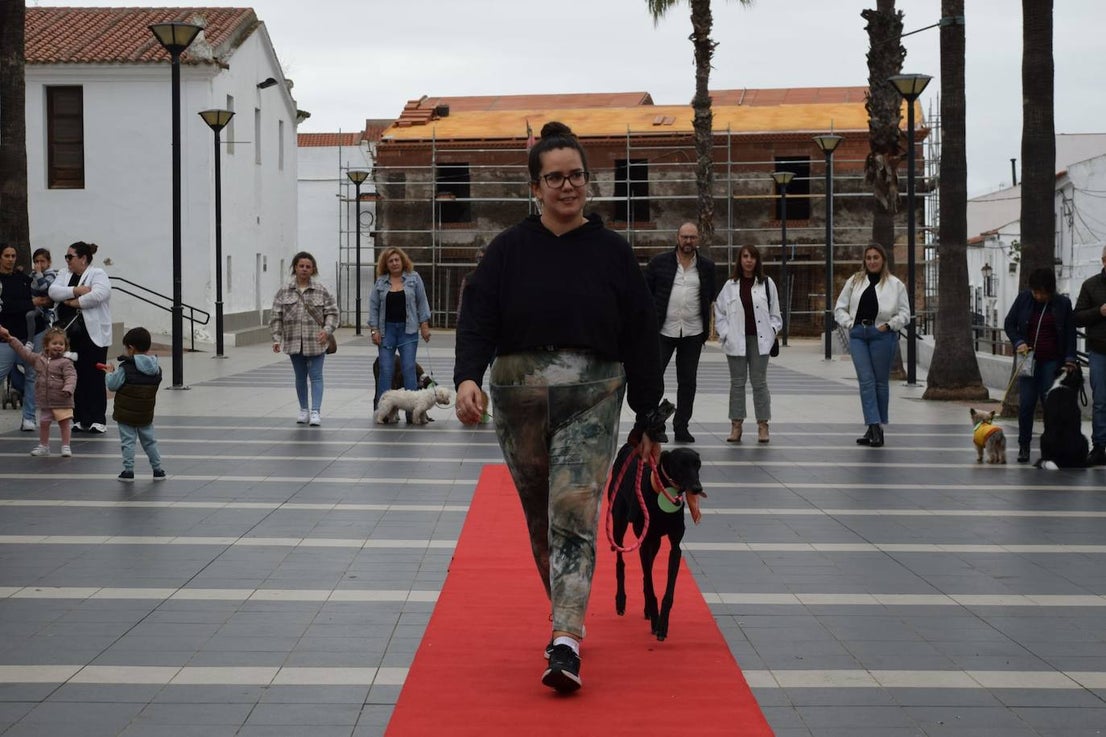 IV Desfile Canino