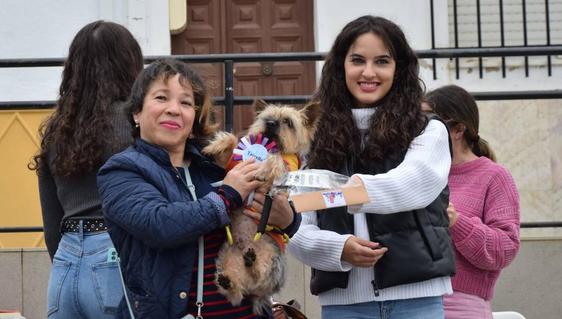 IV Desfile Canino