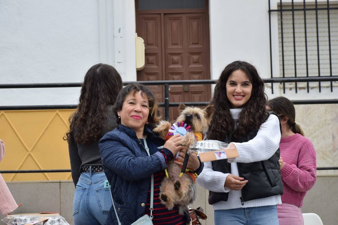 IV Desfile Canino