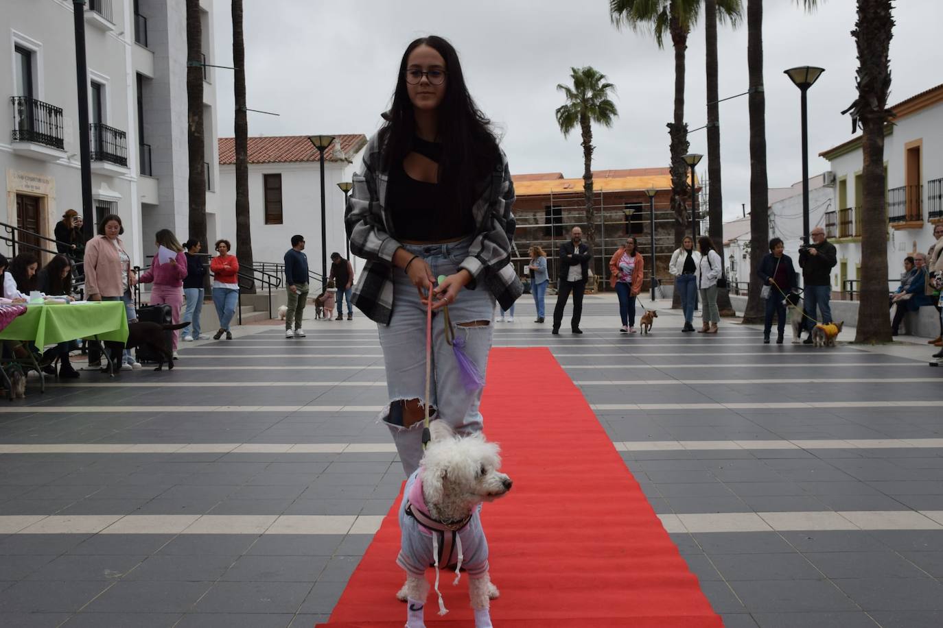 IV Desfile Canino