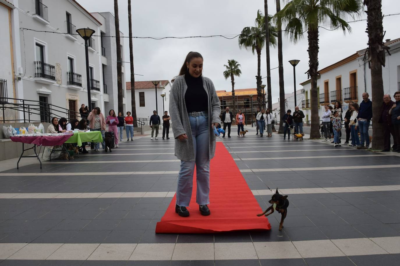 IV Desfile Canino