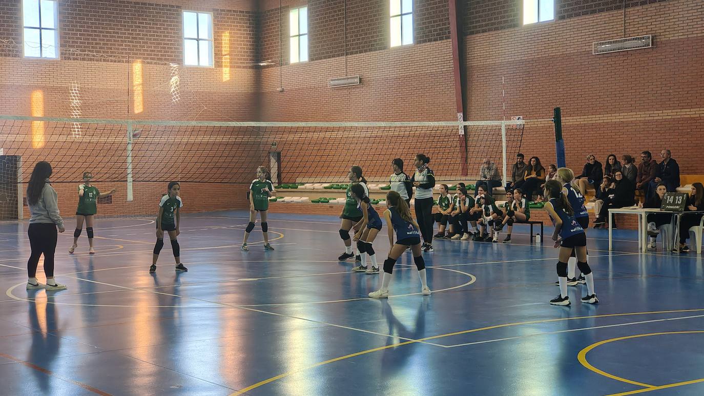 Voleibol Alevín EMD Valverde - CD Marsitas A