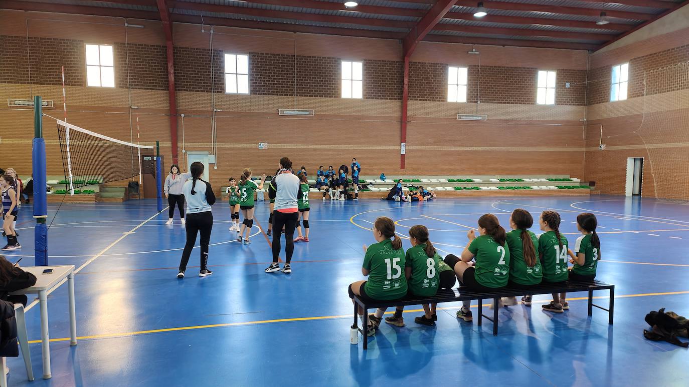 Voleibol Alevín EMD Valverde - CD Marsitas A