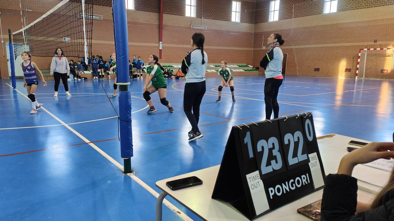 Voleibol Alevín EMD Valverde - CD Marsitas A