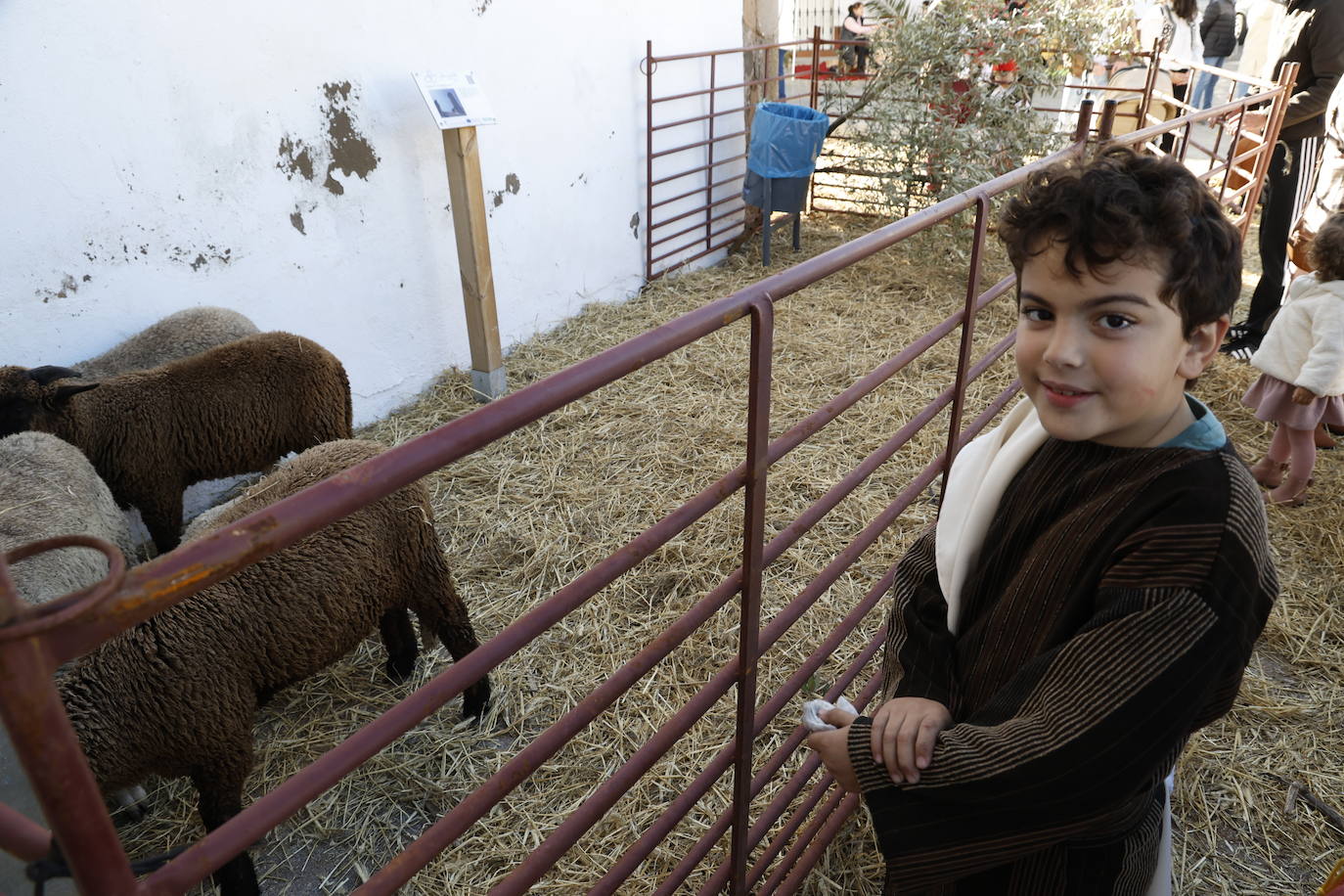 Belén Viviente 2023 (II)