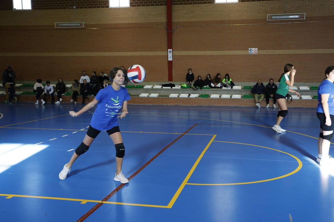 Deporte Solidario (II)