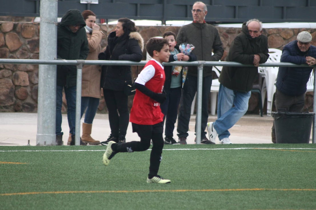 Fotos: Alevines B - Alevines B