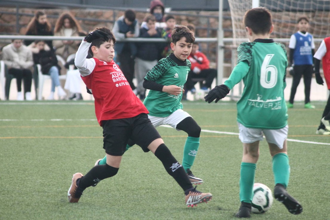 Fotos: Alevines B - Alevines B