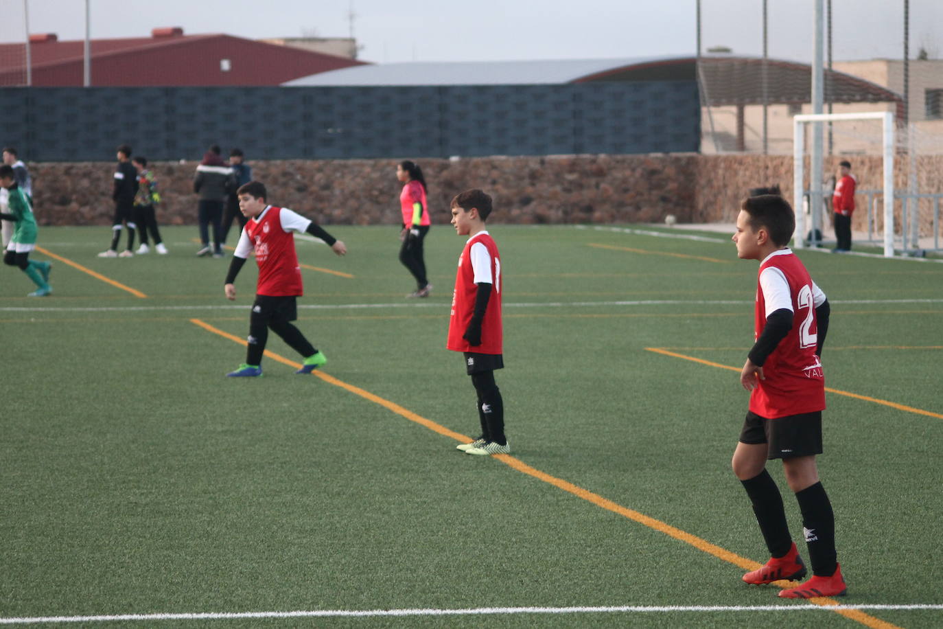 Fotos: Alevines B - Alevines B