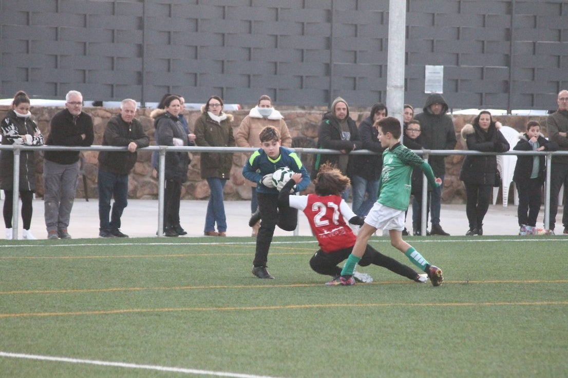 Fotos: Alevines B - Alevines B