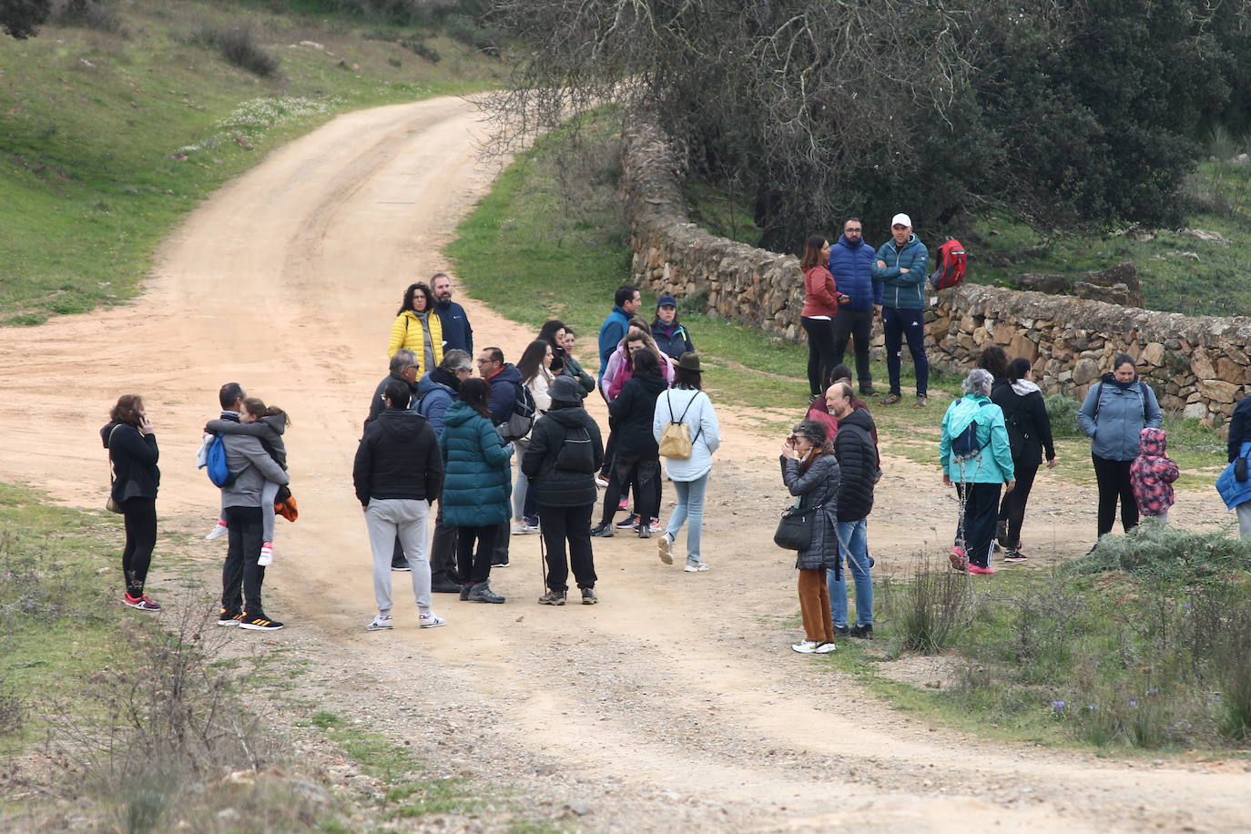 Fotos: Almendro Real (II)